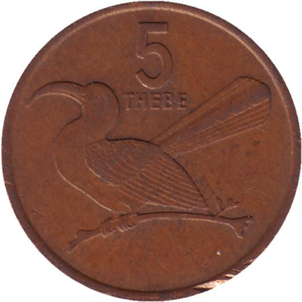 Монета 5 тхебе. 1976 год, Ботсвана. Птица-носорог.