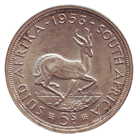 Монета 5 шиллингов. 1953 год, ЮАР. Антилопа.