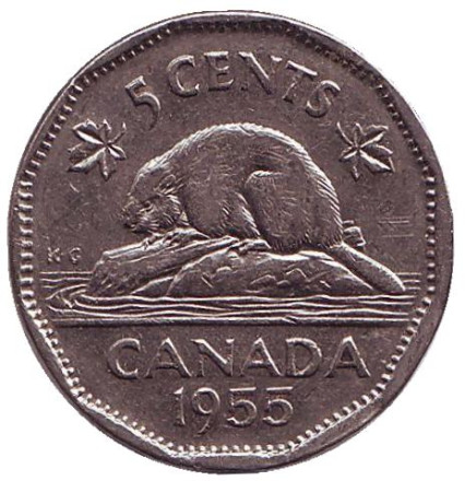 Монета 5 центов, 1955 год, Канада. Бобр.