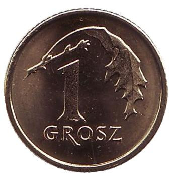 Монета 1 грош. 2018 год, Польша. Дубовый лист.