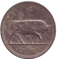 Монета 1 шиллинг. 1962 год, Ирландия. Бык. Монета 1 шиллинг. 1962 год, Ирландия. Бык.