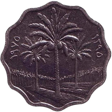 Монета 5 филсов. 1975 год, Ирак. Пальмы.