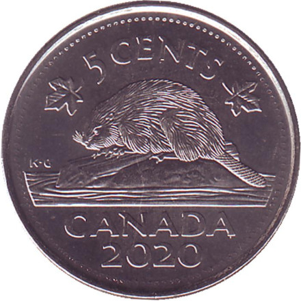 Монета 5 центов, 2020 год, Канада. Бобр.