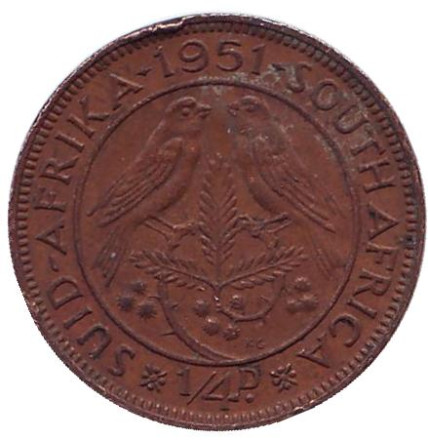 Монета 1/4 пенни (фартинг). 1951 год, ЮАР. Птицы.