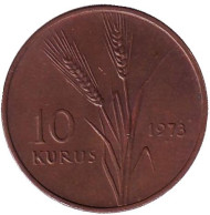 Монета 10 курушей. 1973 год, Турция. Стебли овса. Монета 10 курушей. 1973 год, Турция. Стебли овса.