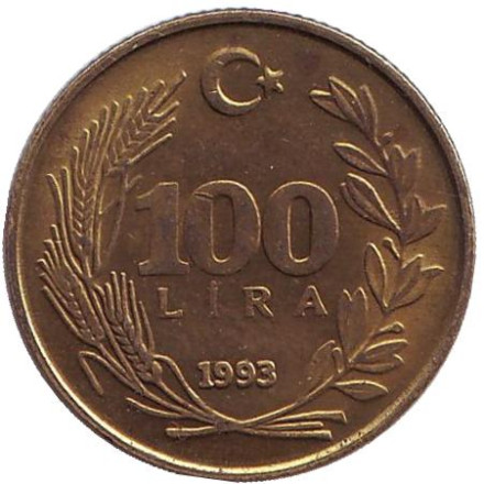 Монета 100 лир. 1993 год, Турция.