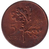 Монета 5 курушей. 1974 год, Турция. Дубовая ветвь. Монета 5 курушей. 1974 год, Турция. Дубовая ветвь.