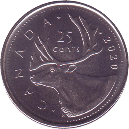Монета 25 центов. 2020 год, Канада. Канадский олень (Карибу).