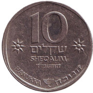 Монета 10 шекелей. 1984 год, Израиль. Ханука. Монета 10 шекелей. 1984 год, Израиль. Ханука.