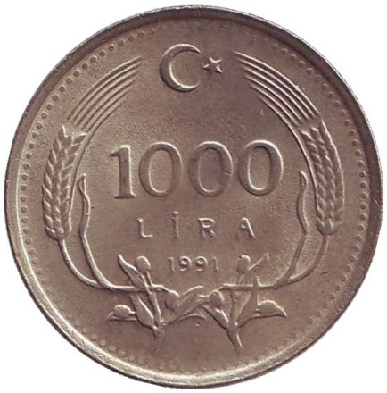 Монета 1000 лир. 1991 год, Турция.