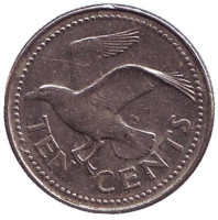 Чайка. Монета 10 центов. 1998 год, Барбадос. 