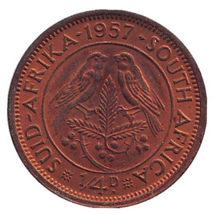 Монета 1/4 пенни (фартинг). 1957 год, ЮАР. Из обращения. Птицы.