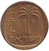 Пальма. Монета 10 агор. 1975 год, Израиль.