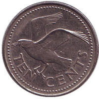 Чайка. Монета 10 центов. 2003 год, Барбадос. 