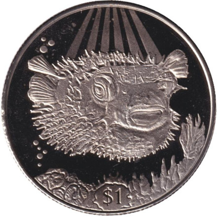 Монета 1 доллар. 2019 год, Британские Виргинские острова. Рыба-дикобраз.