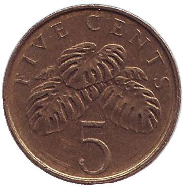 Монета 5 центов. 2000 год, Сингапур. Монстера деликатесная.