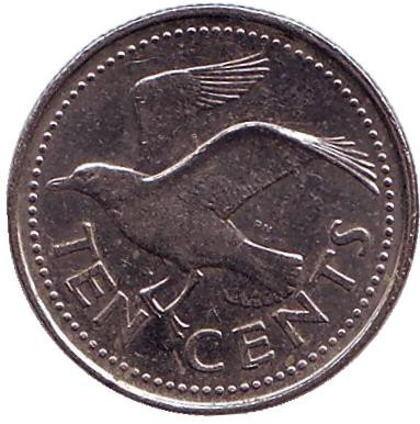 Монета 10 центов. 2004 год, Барбадос. Чайка.