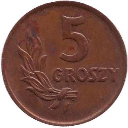 Монета 5 грошей. 1949 год, Польша. (бронза).