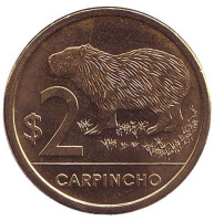 Водосвинка (капибара). Монета 2 песо. 2014 год, Уругвай.