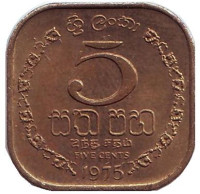 Монета 5 центов. 1975 год, Шри-Ланка. 