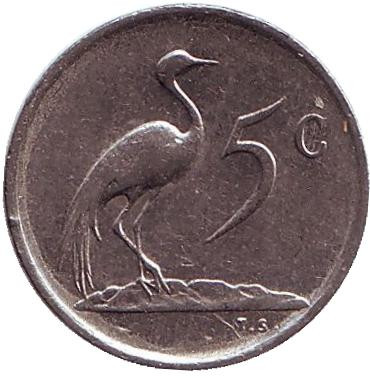 Монета 5 центов. 1977 год, Южная Африка. Африканская красавка.