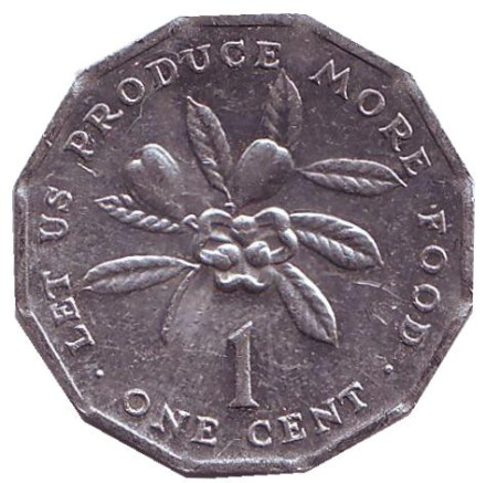 Монета 1 цент, 1981 год, Ямайка. Аки. (Блигия вкусная).