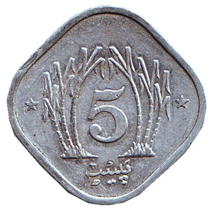 Монета 5 пайсов. 1981 год, Пакистан. (Полумесяц без памятника)