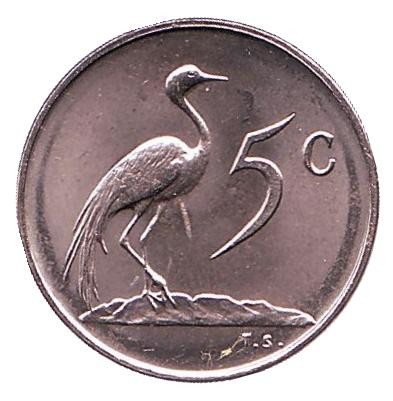 Монета 5 центов. 1974 год, Южная Африка. UNC. Африканская красавка.