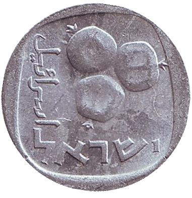 Монета 5 агор. 1977 год, Израиль. Гранат.