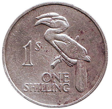 Монета 1 шиллинг. 1964 год, Замбия. Птица-носорог.
