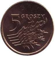 Монета 5 грошей. 2009 год, Польша. Дубовые листья. Монета 5 грошей. 2009 год, Польша. Дубовые листья.