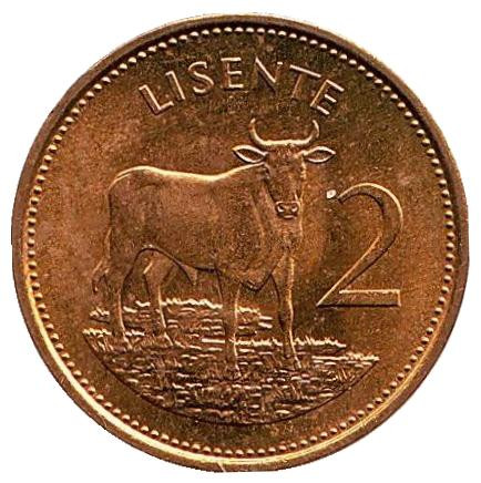 Монета 2 лисенте. 1979 год, Лесото. Корова.