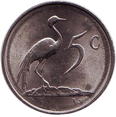 Монета 5 центов. 1980 год, Южная Африка. aUNC. Африканская красавка.