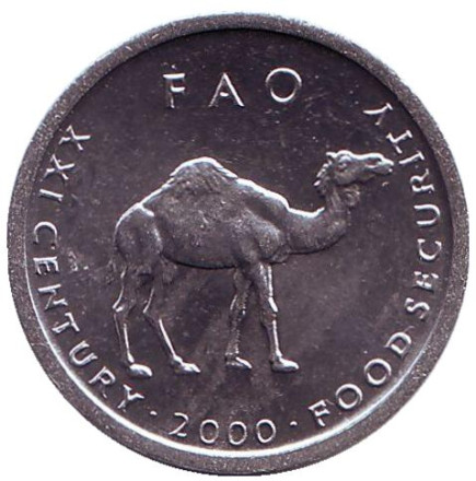 Монета 10 шиллингов. 2000 год, Сомали. UNC. Верблюд. FAO.