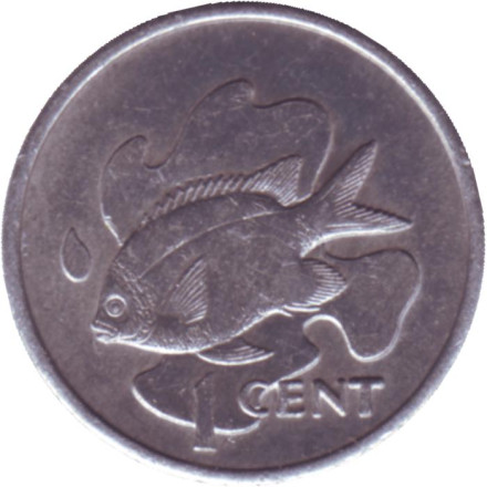Монета 1 цент. 1977 год, Сейшельские острова.