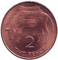 Монета 2 пенса. 2006 год, Острова Святой Елены и Вознесения. Ослик. Монета 2 пенса. 2006 год, Острова Святой Елены и Вознесения. Ослик.