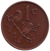Воробьи. Монета 1 цент. 1966 год, ЮАР. (South Africa)