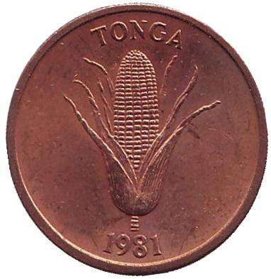 Монета 1 сенити. 1981 год, Тонга. Початок кукурузы.
