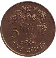 Маниоковая пальма. Монета 5 центов. 1992 год, Сейшельские острова.