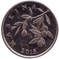 Олива европейская. Монета 20 лип. 2015 год, Хорватия. 