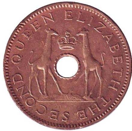 Монета 1/2 пенни. 1958 год, Родезия и Ньясаленд. Из обращения. Жирафы.