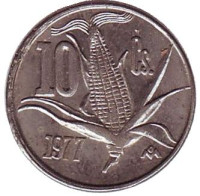 Початок кукурузы. Монета 10 сентаво. 1977 год, Мексика.
