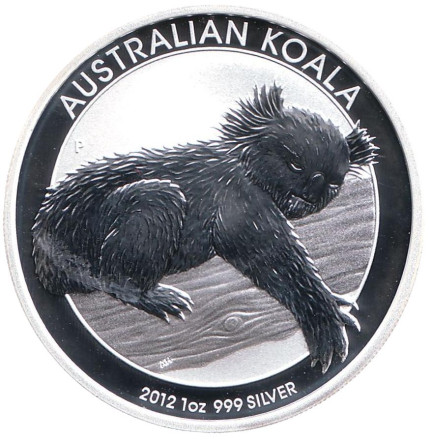koala-2012-1.jpg