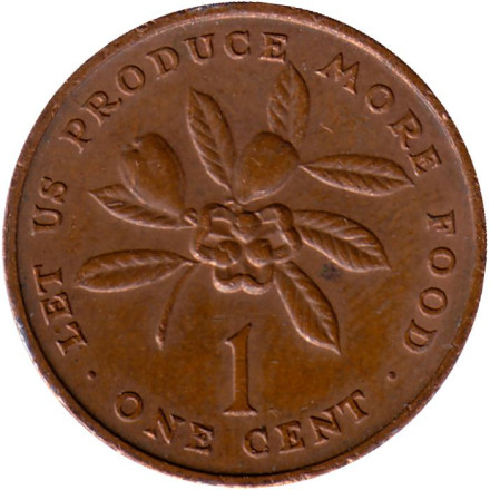Монета 1 цент. 1973 год, Ямайка. Аки. (Блигия вкусная). ФАО. Из обращения.