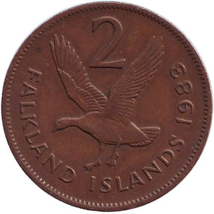 Монета 2 пенса. 1983 год, Фолклендские острова. Магелланов гусь.