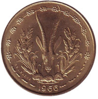 Газель. Монета 10 франков. 1966 год, Западные Африканские Штаты. UNC.