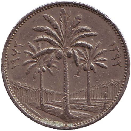 Монета 50 филсов. 1972 год. Ирак. Пальмовые деревья.