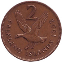 Магелланов гусь. Монета 2 пенса. 1992 год, Фолклендские острова. 