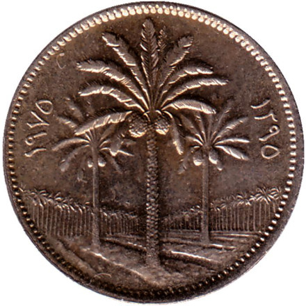 Монета 25 филсов. 1975 год, Ирак. Пальмы. UNC.
