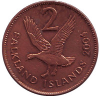 Магелланов гусь. Монета 2 пенса. 2004 год, Фолклендские острова.